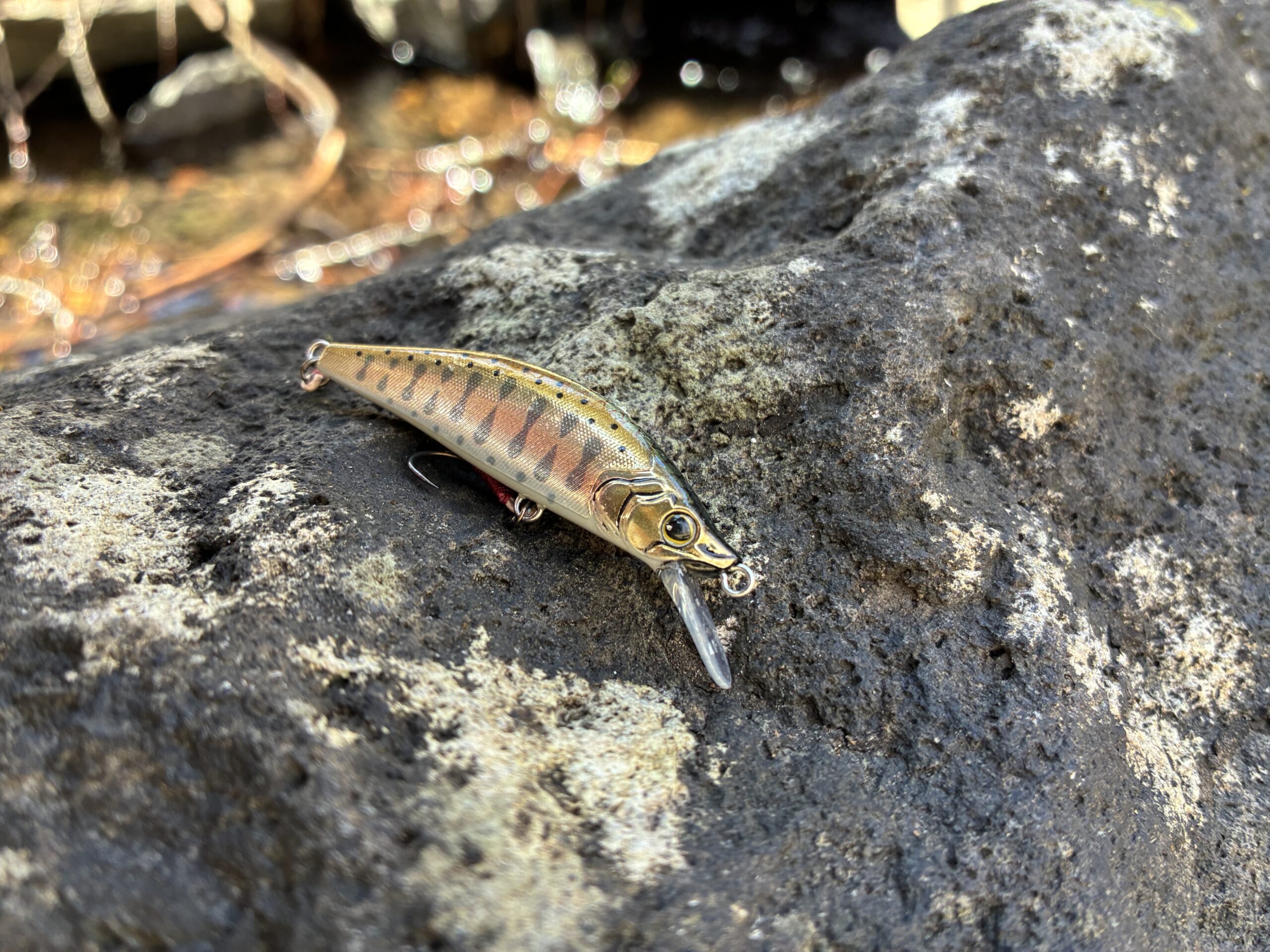 釣り用のルアーの紹介写真を撮影
商品紹介ページに掲載するため、魚などの写っている画像とは別で用意し
商品を強調しました。