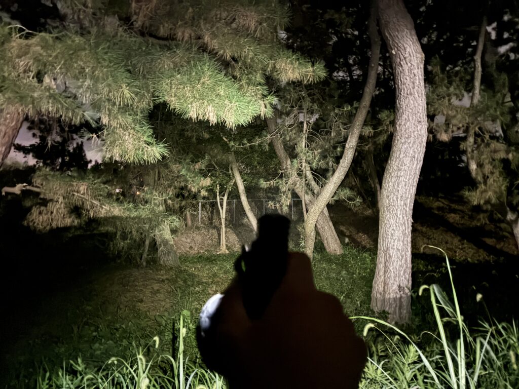 夜釣り場に向かう山道を
ヘッドライトで照らしている様子